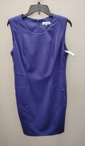 Size 12 Calvin Klein Dress