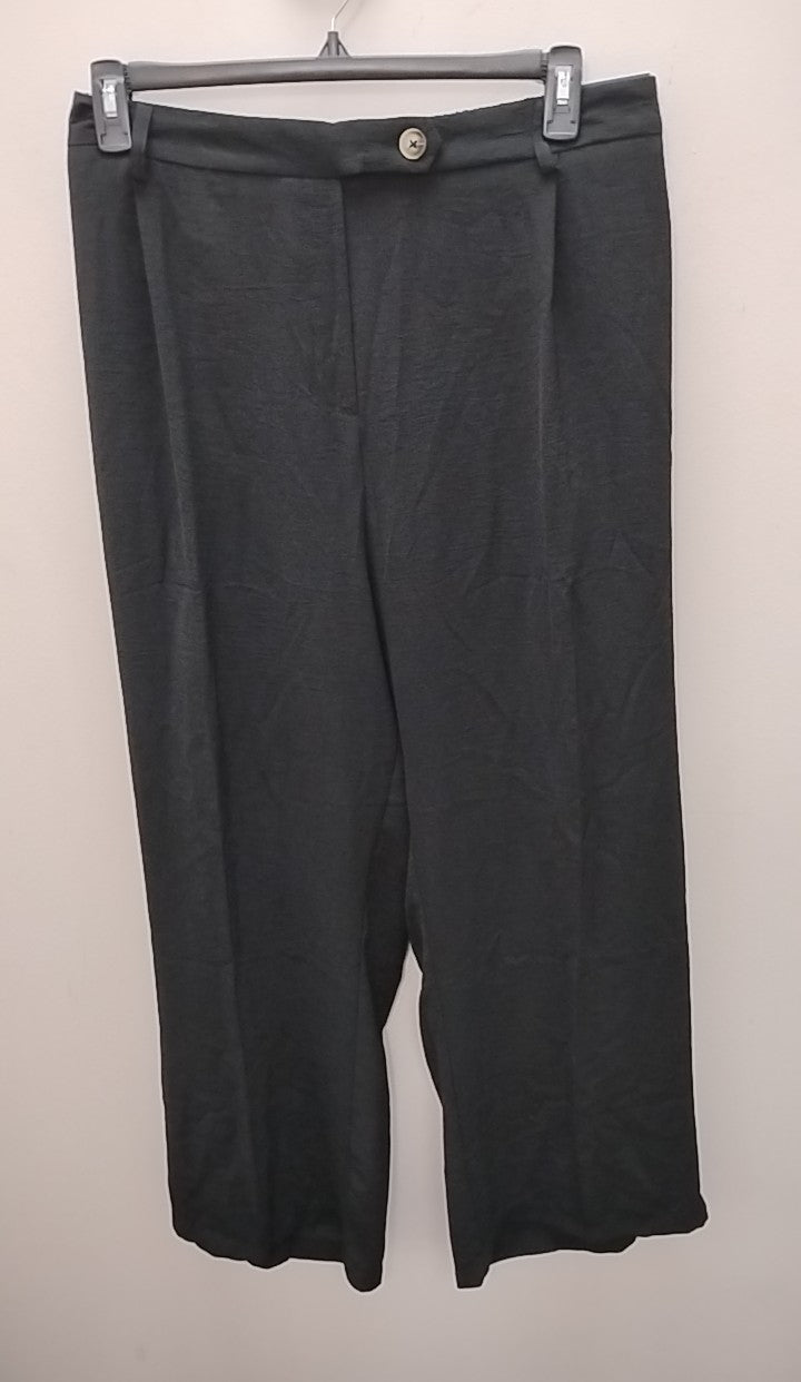 Size 3X Jones & Co Pants