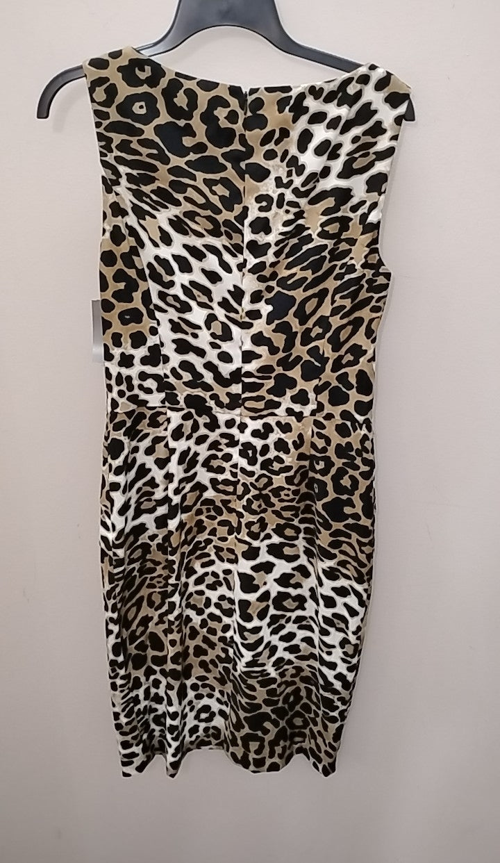 Size 8 Cashe Dress