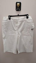 Size 14 Talbots Shorts