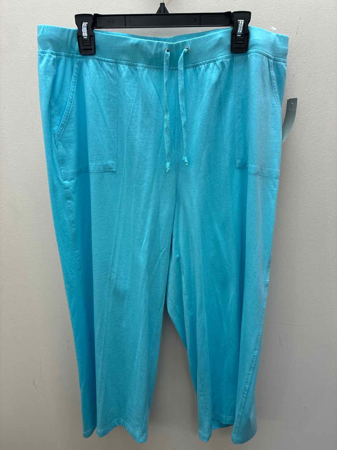 Size XXL Talbots Misc. Pants
