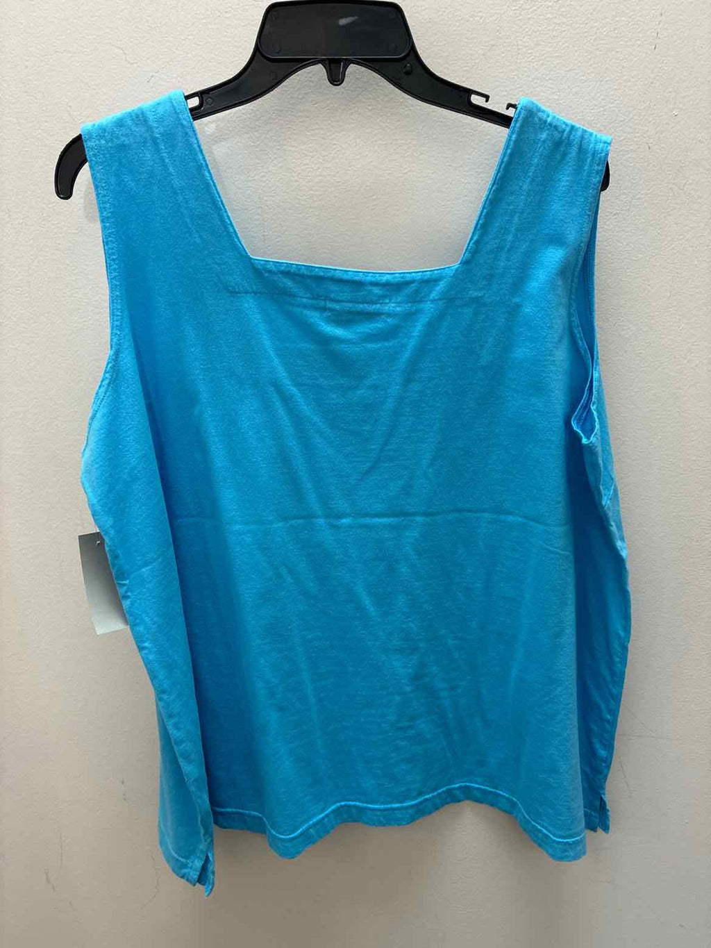 Size 2X Fresh Produce Sleeveless