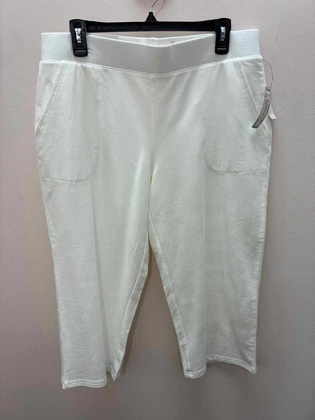 Size L Talbots Misc. Pants