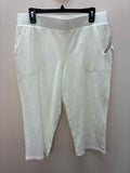 Size L Talbots Misc. Pants