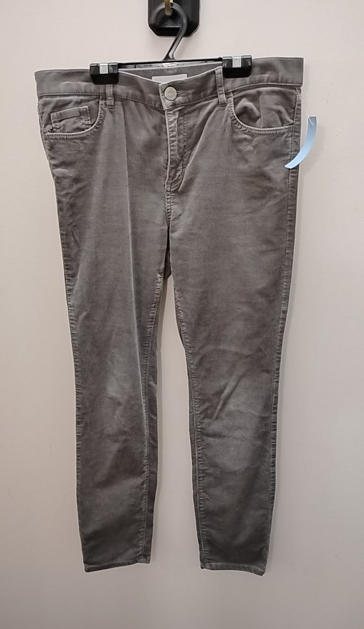 Size 8 Loft Pants