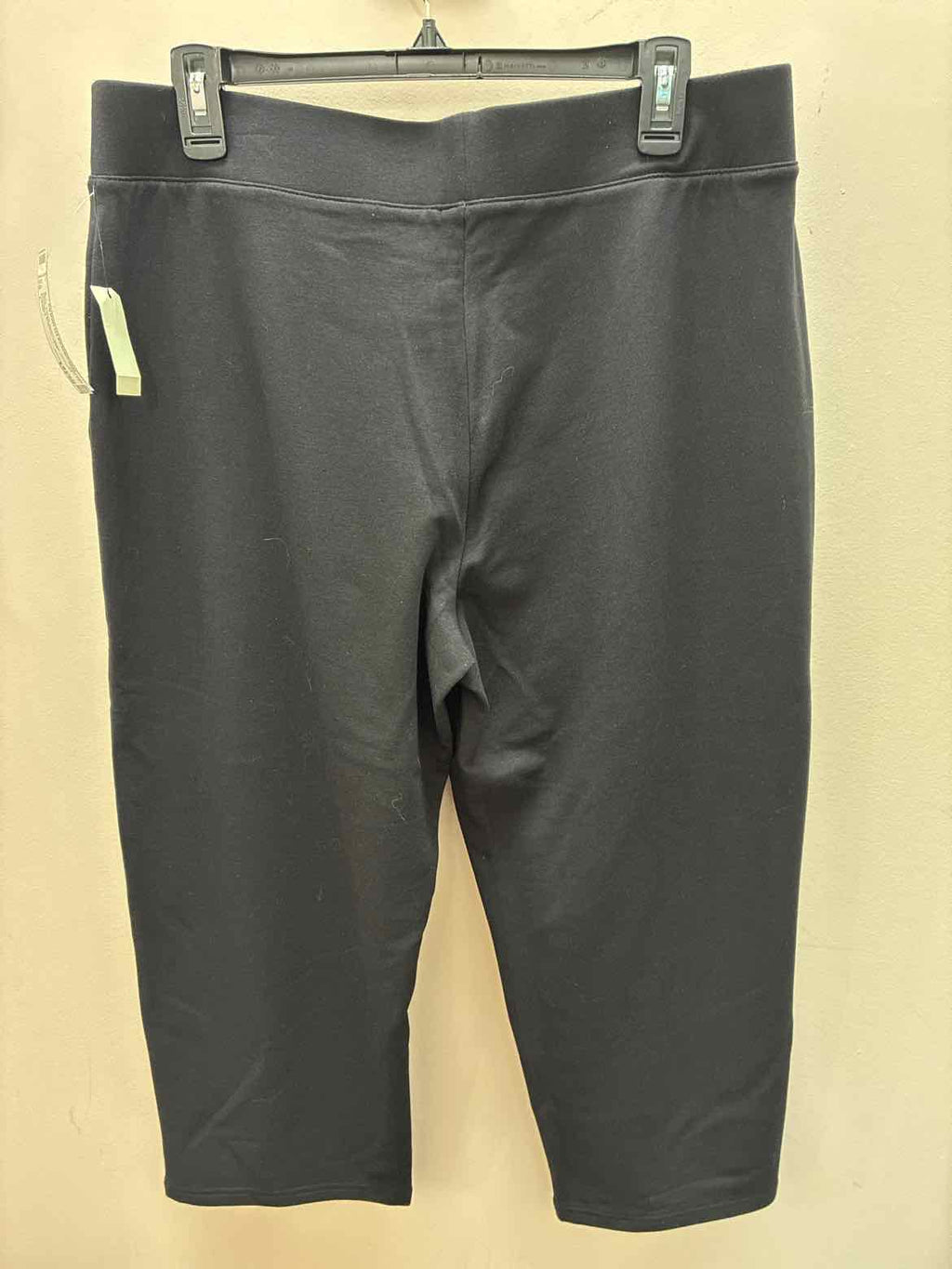 Size L Talbots Misc. Pants
