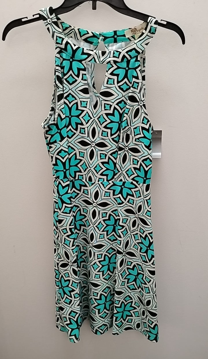 Size 4 Aryeh Dress