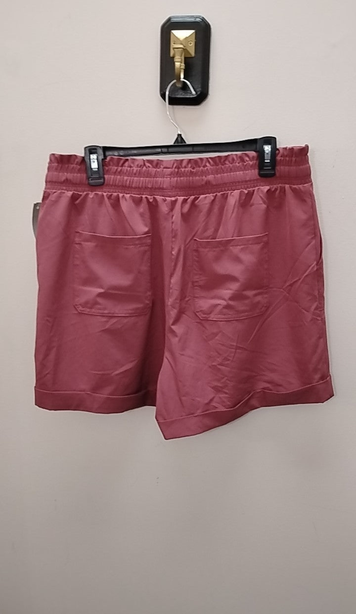 Size L Danskin Shorts