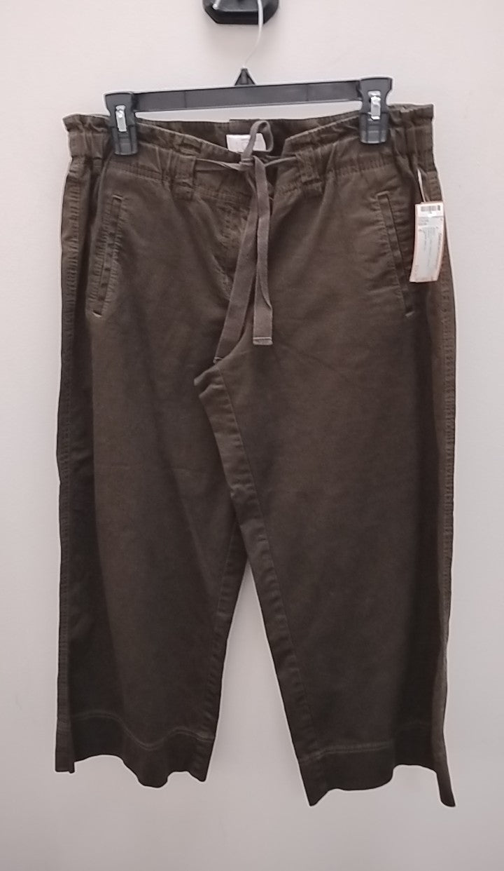 Size 6 Loft Jeans