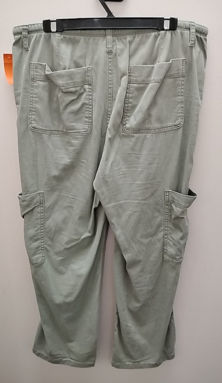 Size 14 Arizona Pants