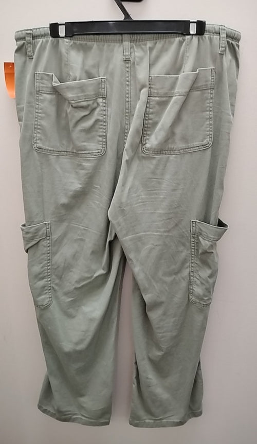 Size 14 Arizona Pants