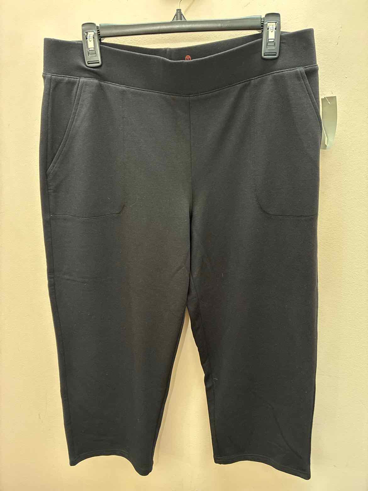 Size L Talbots Misc. Pants