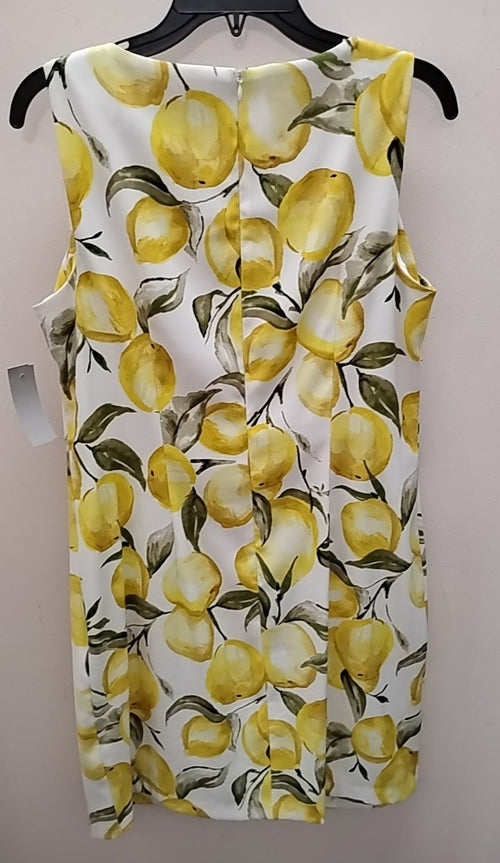 Size 14 ALYX Dress