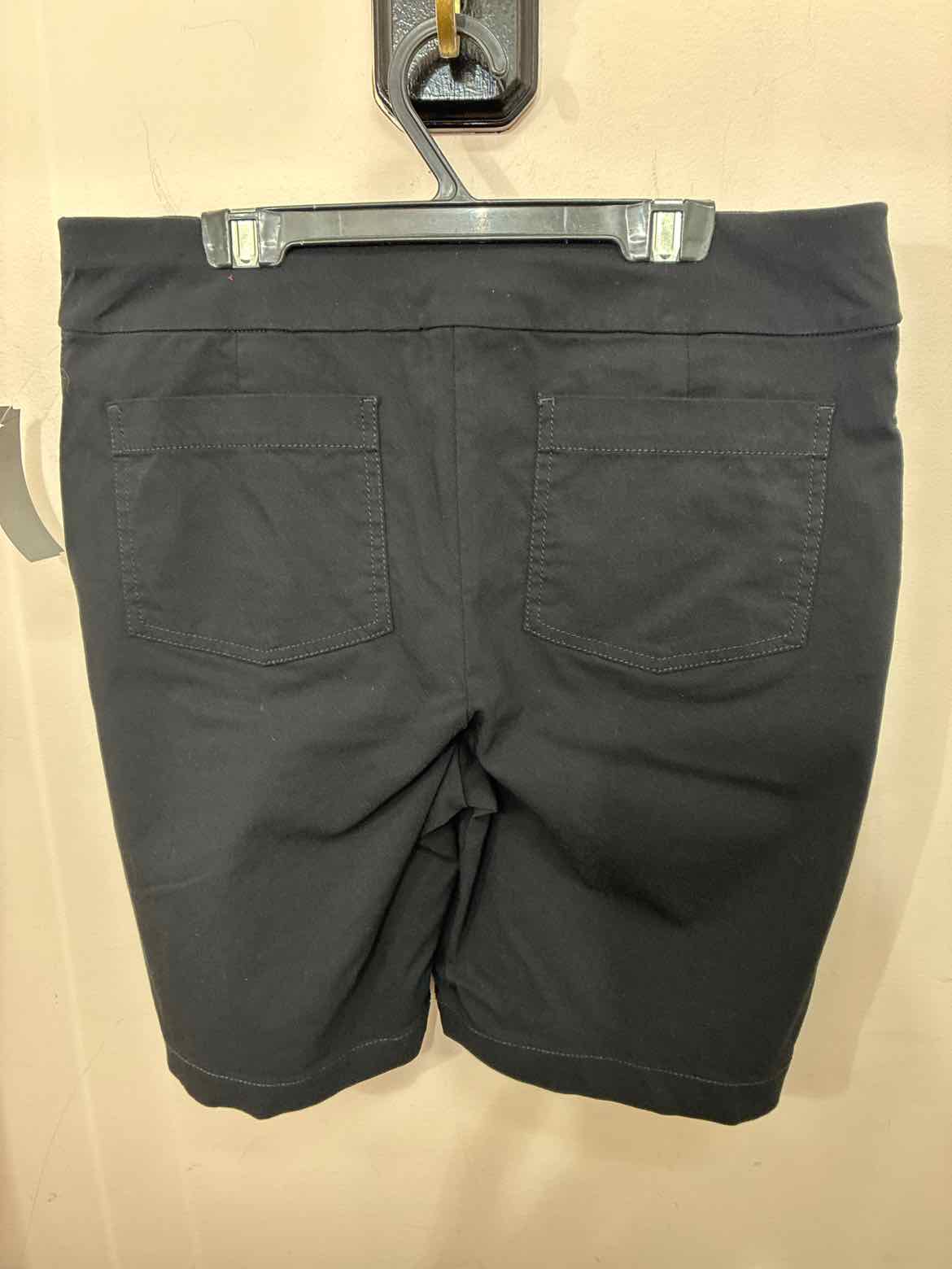 Size 10 Talbots Shorts