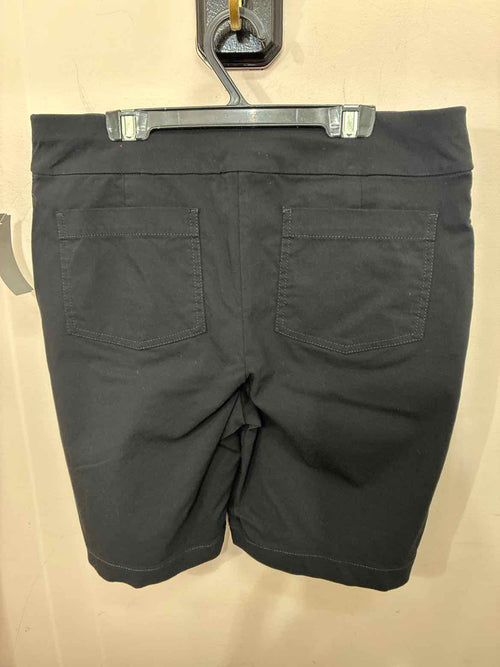 Size 10 Talbots Shorts