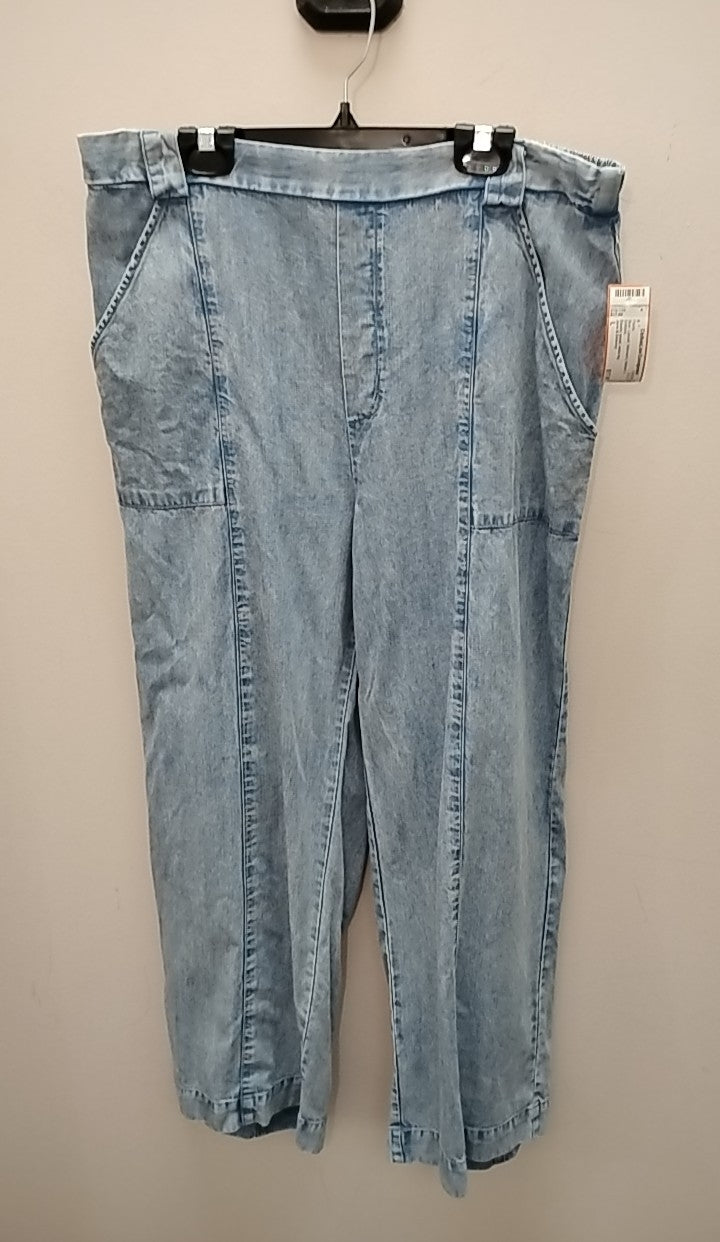 Size L Jane & Delancy Pants