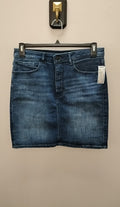 Size 10 Express Skirt