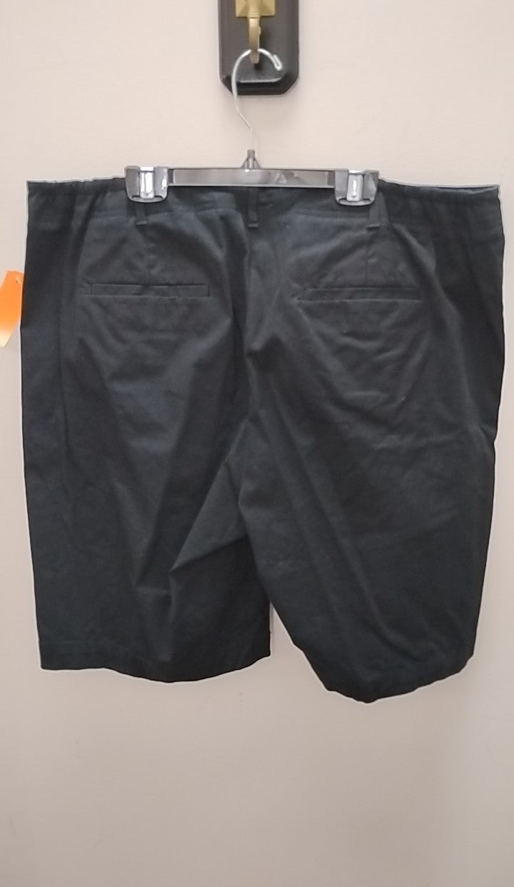 Size 16 Talbots Shorts