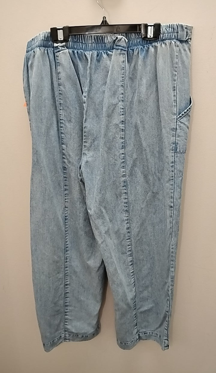 Size L Jane & Delancy Pants