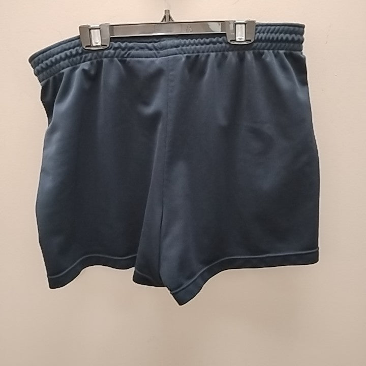 Size L Nike Athletic Shorts
