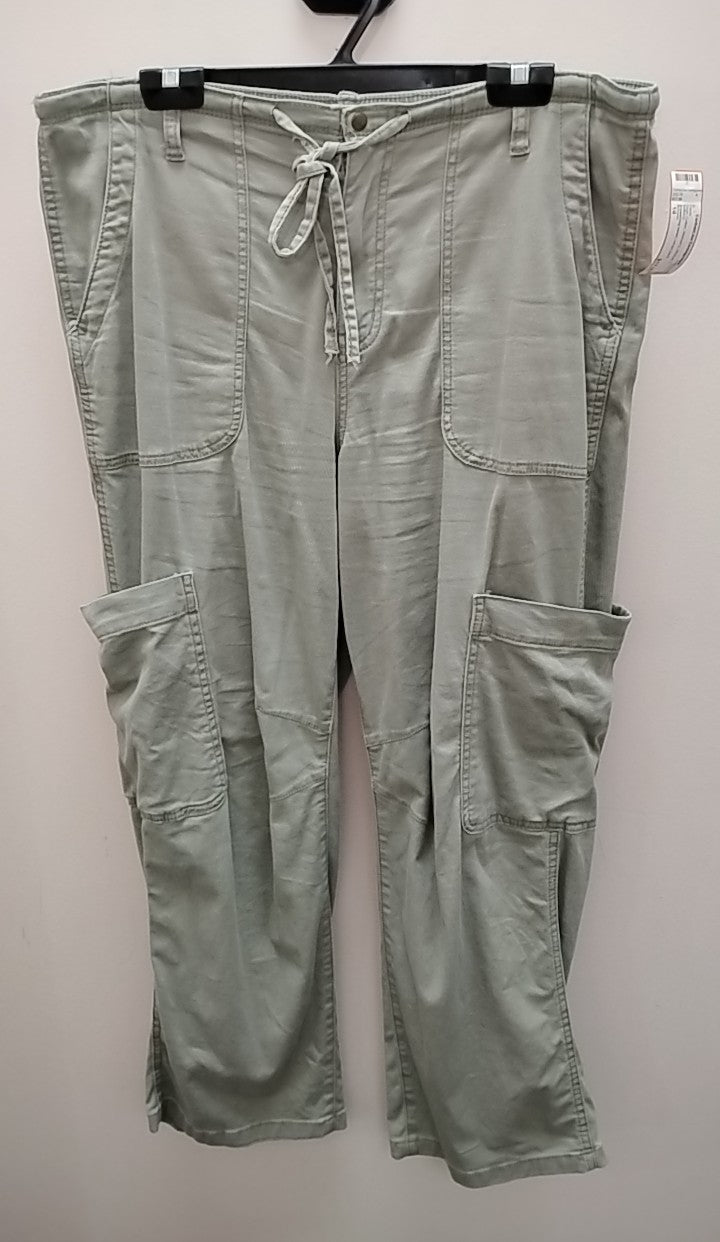 Size 14 Arizona Pants