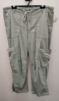 Size 14 Arizona Pants