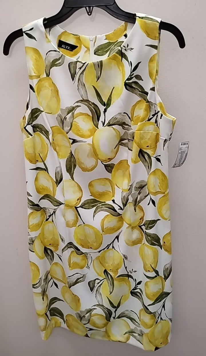 Size 14 ALYX Dress