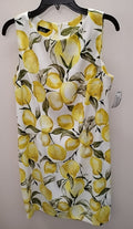 Size 14 ALYX Dress
