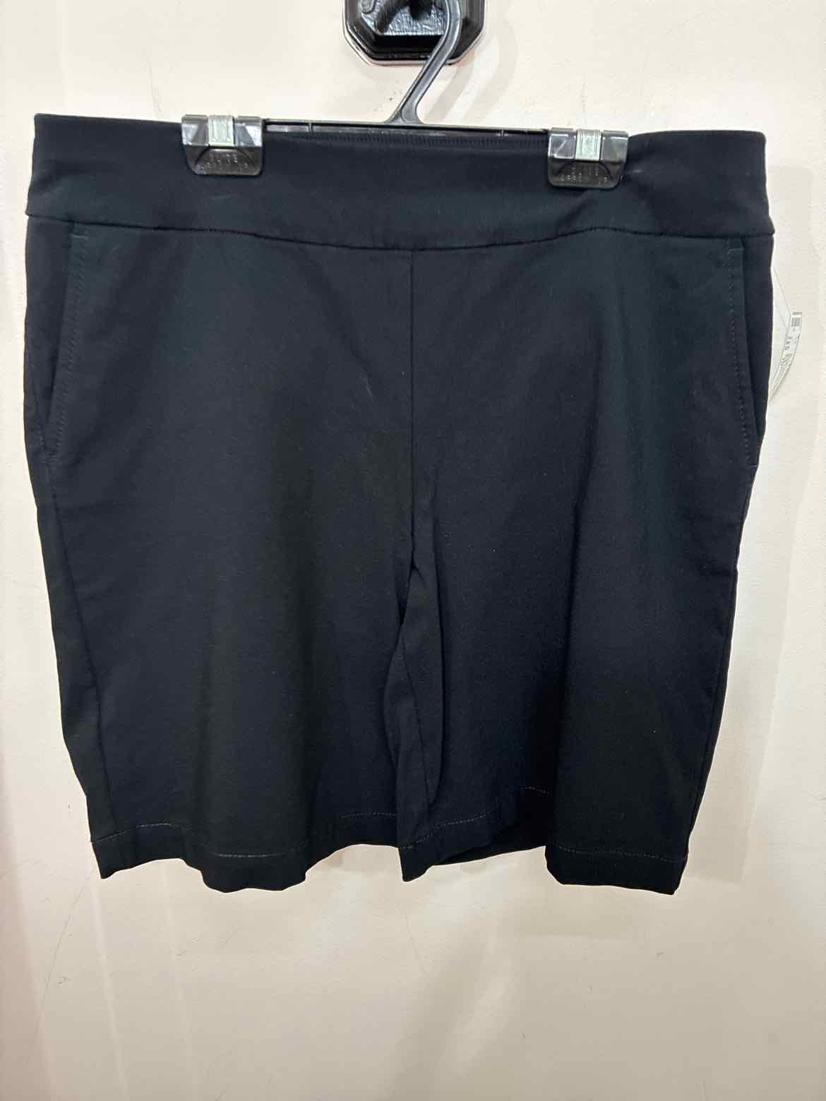 Size 10 Talbots Shorts