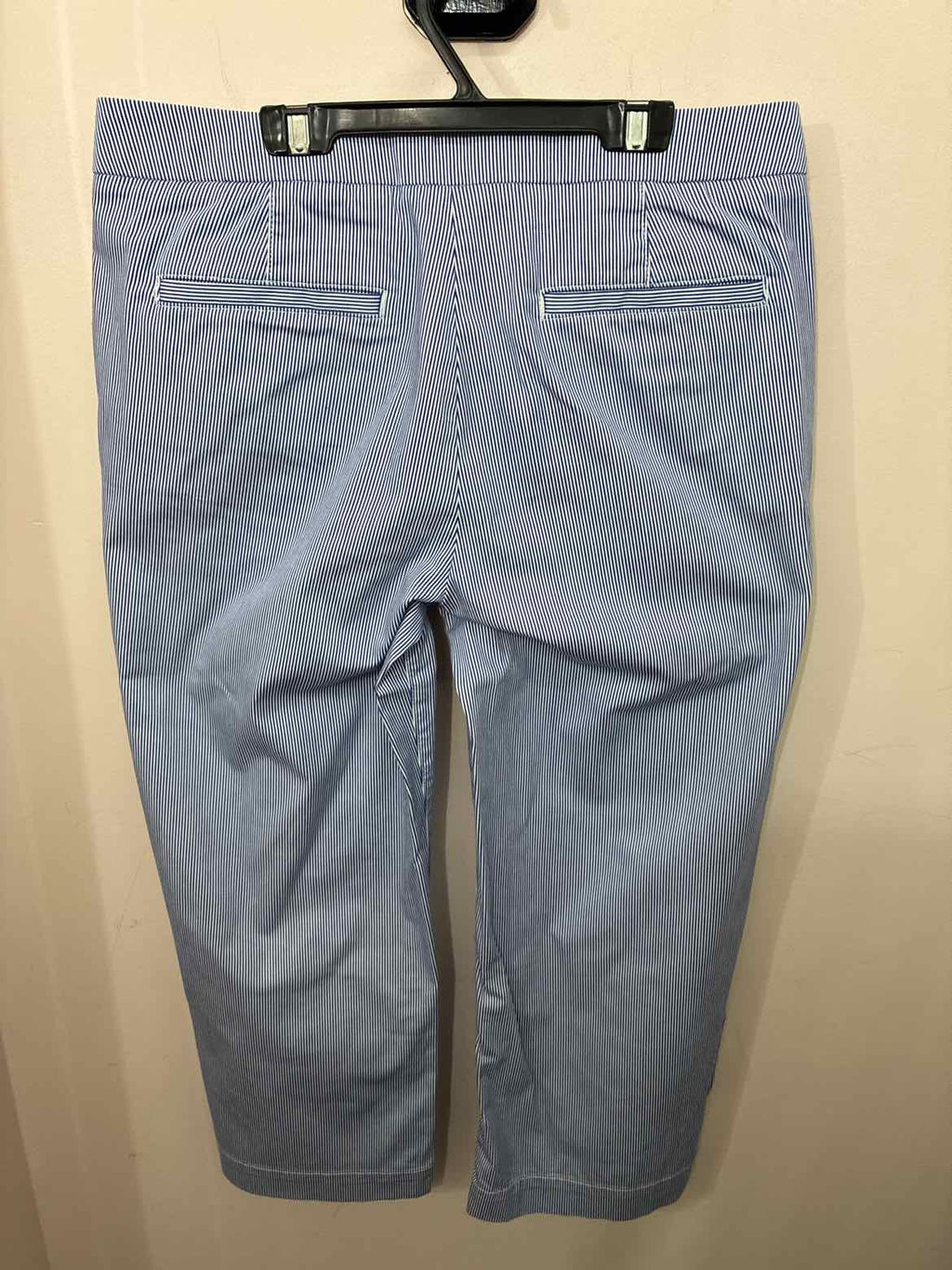 Size 10 Talbots Capris