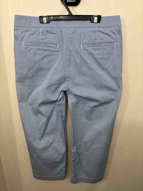 Size 10 Talbots Capris
