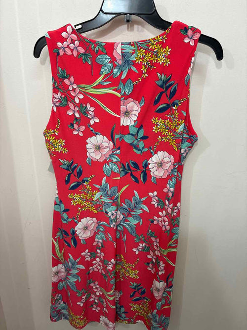 Size 10 Tommy Hilfiger Dress