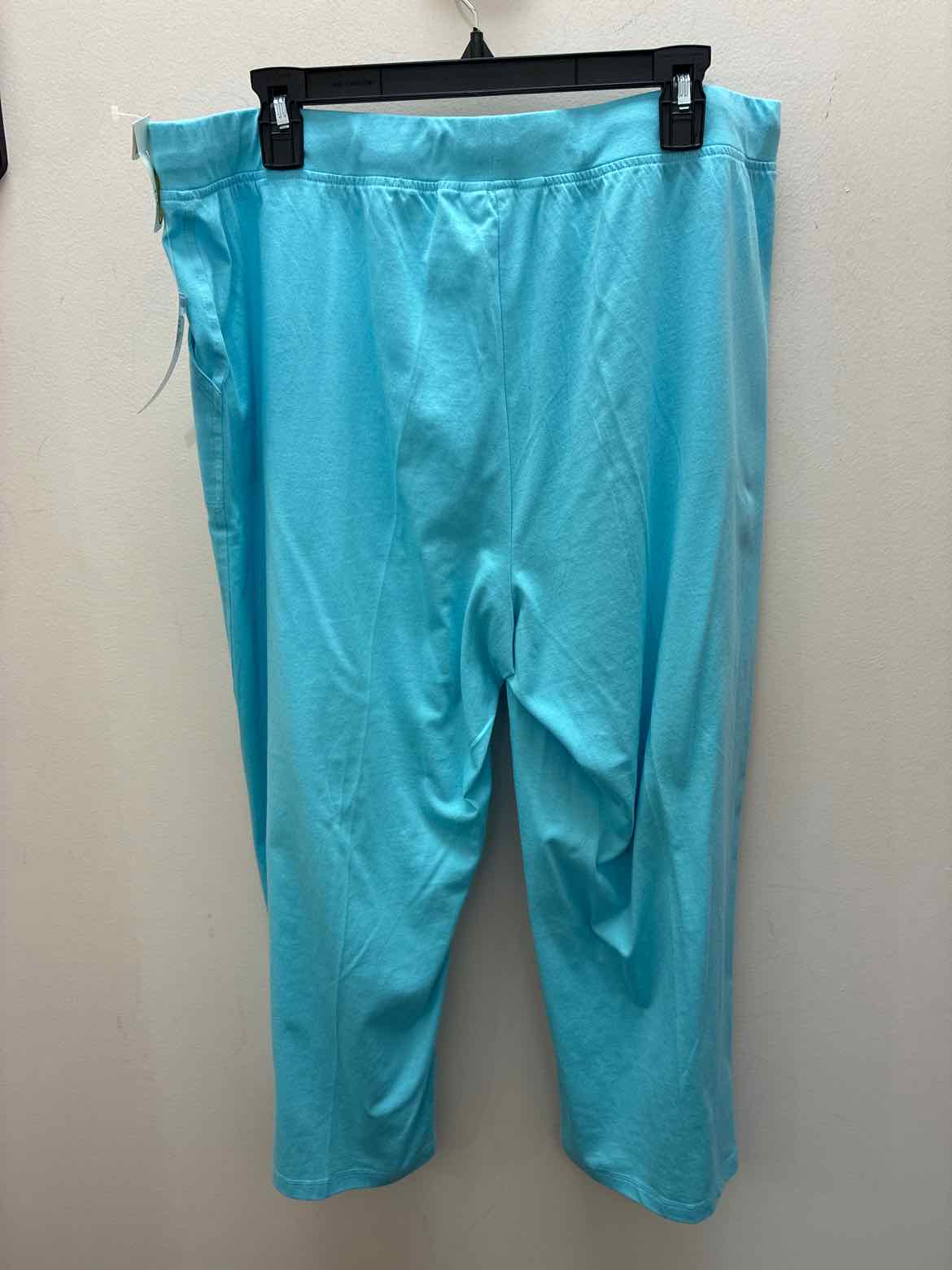 Size XXL Talbots Misc. Pants