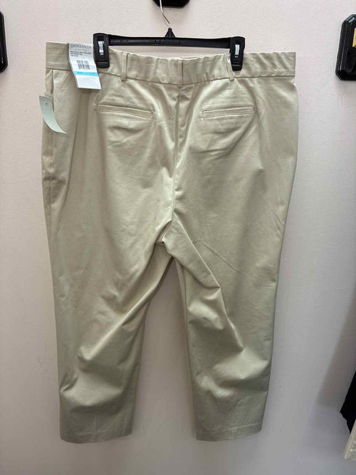 Size 20 Sag Harbor Pants